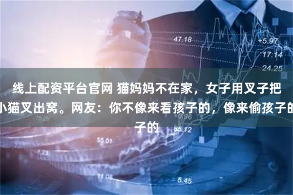 线上配资平台官网 猫妈妈不在家，女子用叉子把小猫叉出窝。网友：你不像来看孩子的，像来偷孩子的
